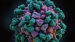 Robuste Kontrollstrategien für AAVs: Einsatz von QbD innerhalb der regulatorischen Rahmenbedingungen