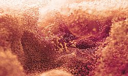 Valsartan-Skandal Teil 3: Ergebnisse aus der interaktiven Session beim QP Update