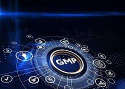 GMP Update 2025/2026