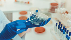 Risk Assessment (RA) – ein vielfach ungenutztes Instrument zur Beurteilung von mikrobiologischen Befunden in der Pharmazeutischen Industrie – Teil 2